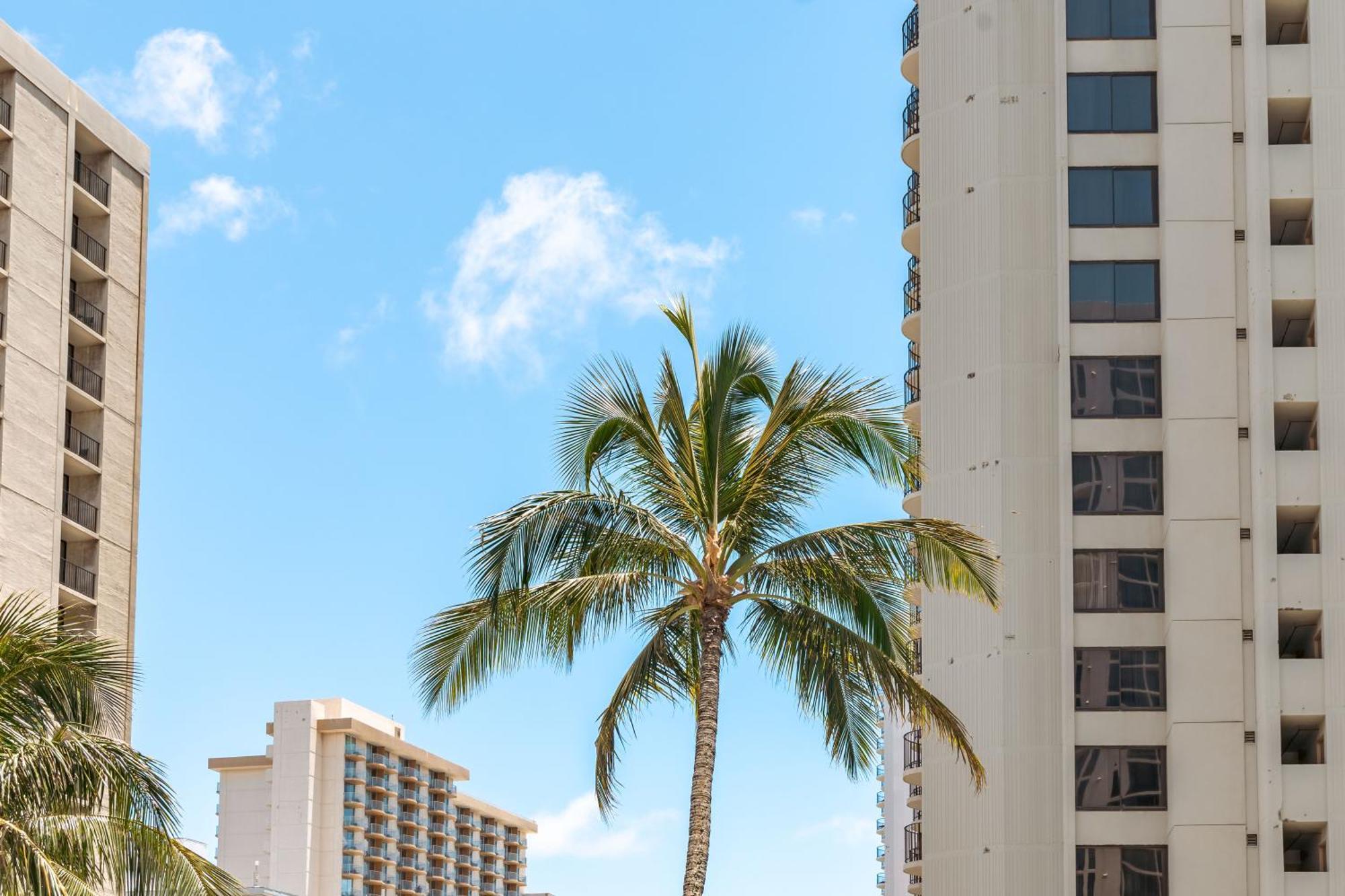 Beautiful 1Br, Steps To Waikiki Beach And Parking 檀香山 外观 照片